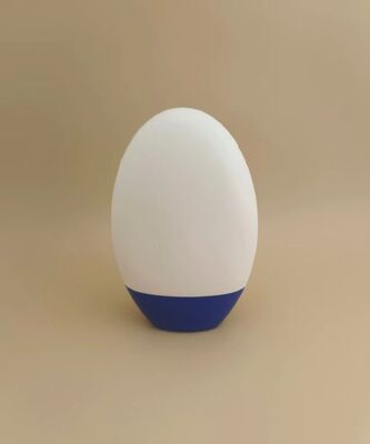White Smooth Plastic Bottle with Blue Lid for Shampoo